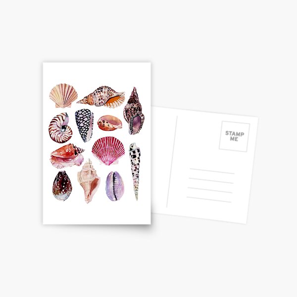 She Sells Sea Shells stamp set