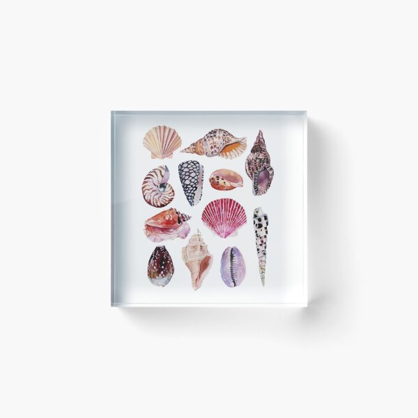 Item preview, She sells sea shells at the sea shore designed and sold by Mars Babe.
