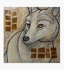 Arctic Wolf Photographic Print