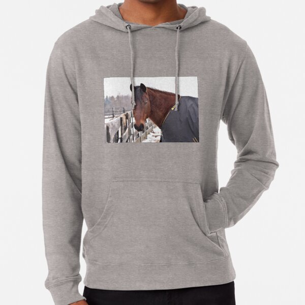 Aqha hoodie Clearance