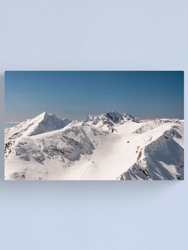 Alternate view of Next Level Canvas Print