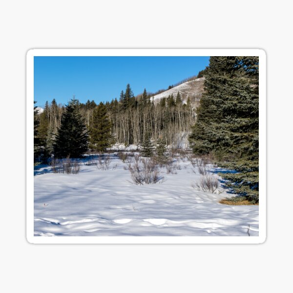 Item preview, Hiking trail designed and sold by CanadianWild418.