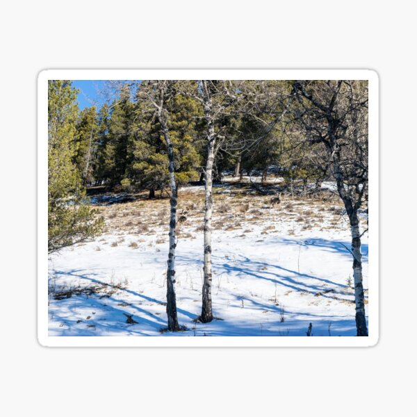 Item preview, Deer along the trail designed and sold by CanadianWild418.