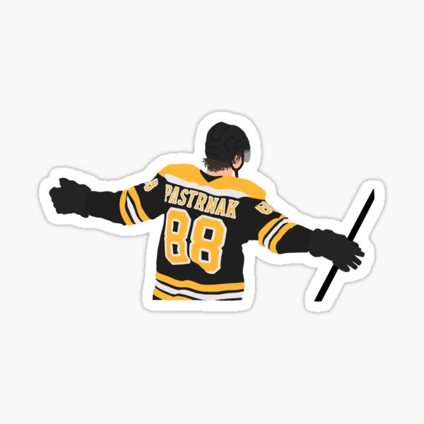 Winter Classic Boston Bruins NHL Fan Apparel & Souvenirs for sale