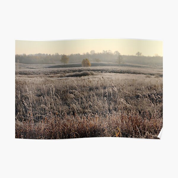 First frost in grassland at autumn time Poster