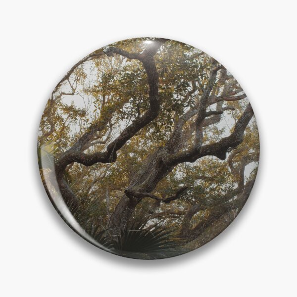 Item preview, Trees at Daytona designed and sold by Paige Isovitsch.