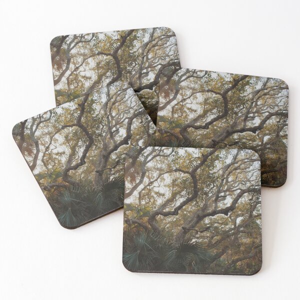 Item preview, Trees at Daytona designed and sold by Paige Isovitsch.