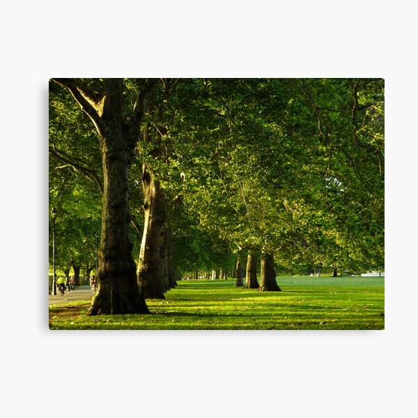 Hyde Park Green Alley Canvas Print
