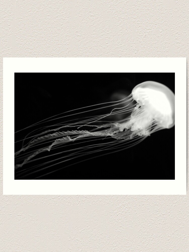 Jellyfish Art Print By Signosis Redbubble
