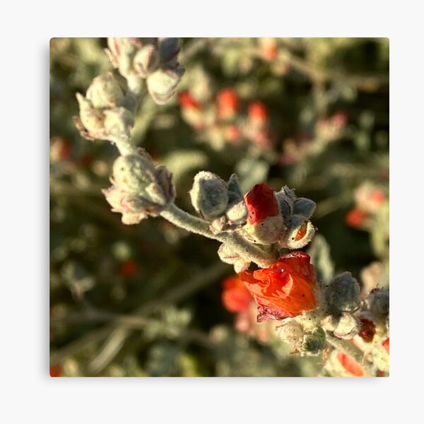 Item preview, Red Flowers designed and sold by pinkyjainpan.