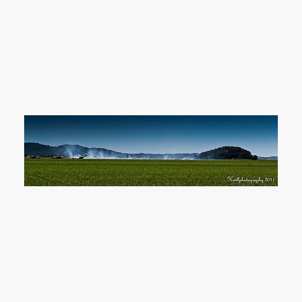 Sweet Harvest Photographic Print