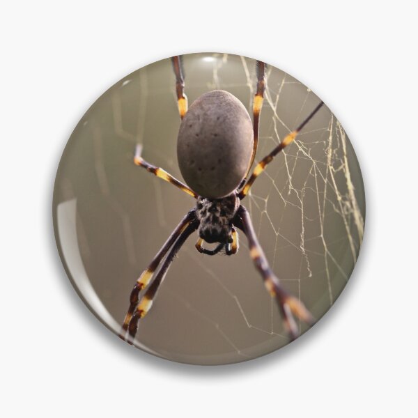 Item preview, G'day said the Spider! designed and sold by Mickangelhere.