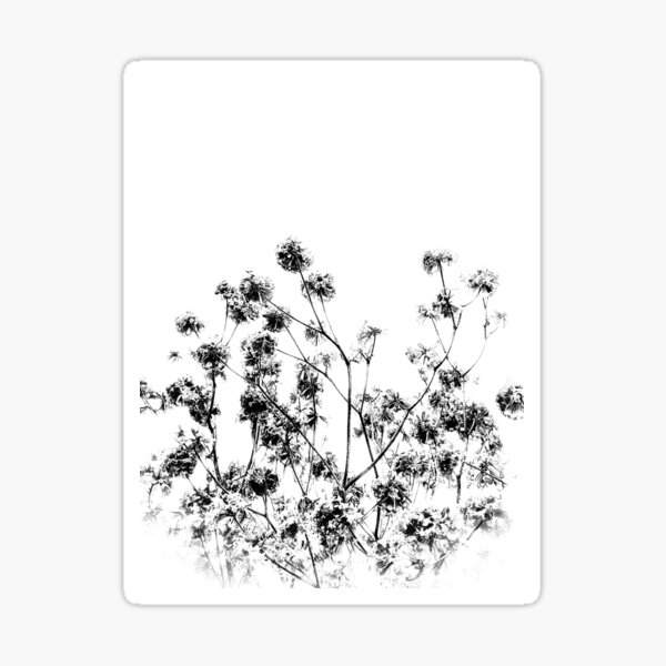 Morning Blossoms Orlando Florida Sticker