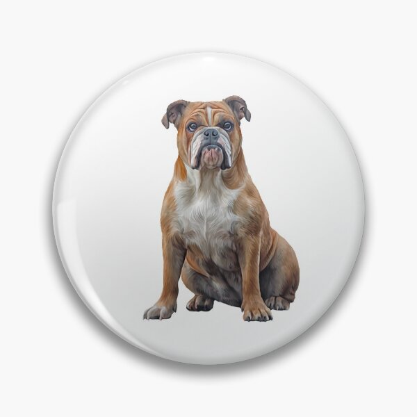 Item preview, Drawing dog breed English Bulldog portrait oil painting on a white background.  designed and sold by bonidog.