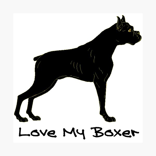 Item preview, For boxer lovers designed and sold by JRHarshman.