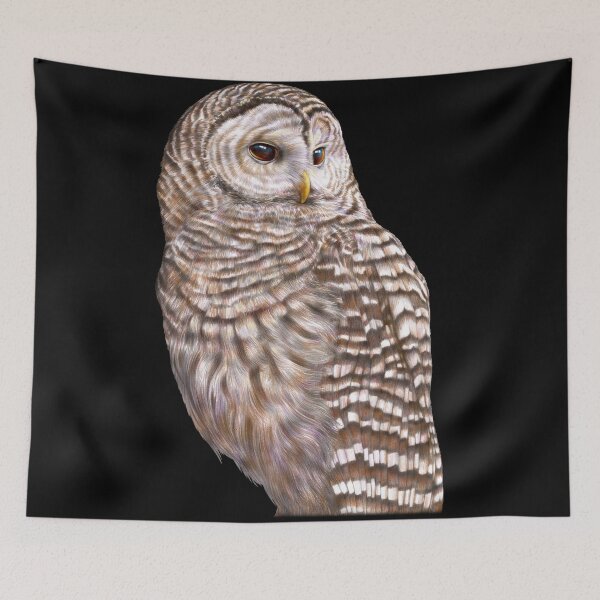 Item preview, Barred Owl designed and sold by TimJeffsArt.