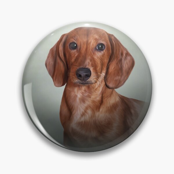 Item preview, Drawing Dog breed dachshund designed and sold by bonidog.