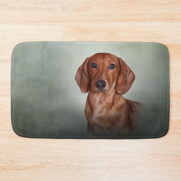 Item preview, Drawing Dog breed dachshund designed and sold by bonidog.