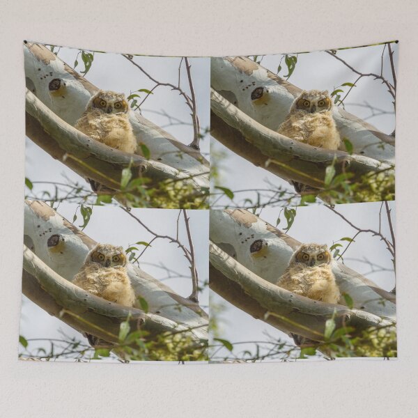 Aperçu de l'œuvre Cute and Furry Great Horned Owl  créée et vendue par PsychoAlien.com.