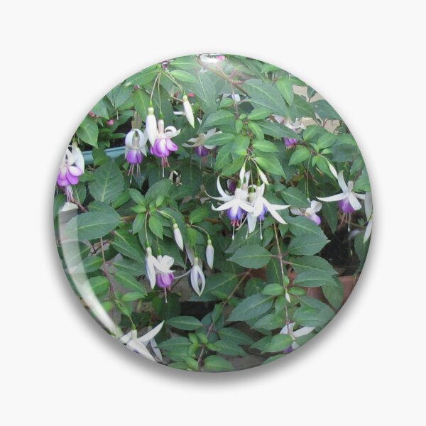 Artikelvorschau, Dancing Fuchsia Belles - Oval Vignette entworfen und verkauft von BlueMoonRose.