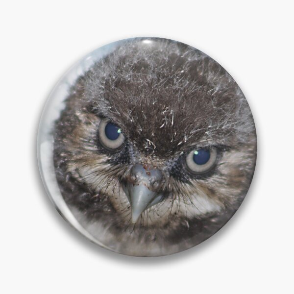 Item preview, Burrowing Owlet designed and sold by Alyce Taylor.