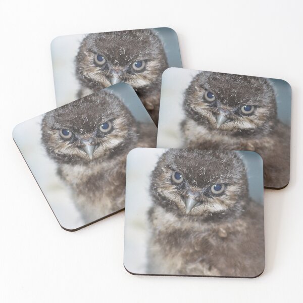 Item preview, Burrowing Owlet designed and sold by Alyce Taylor.