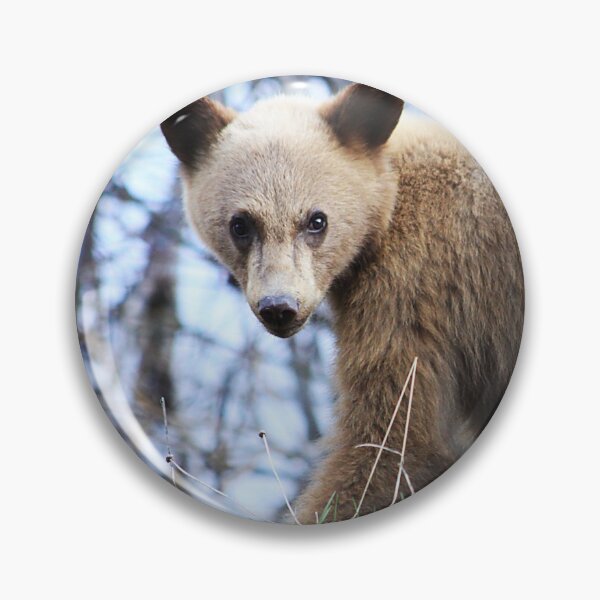 Item preview, Blonde Bear designed and sold by Alyce Taylor.