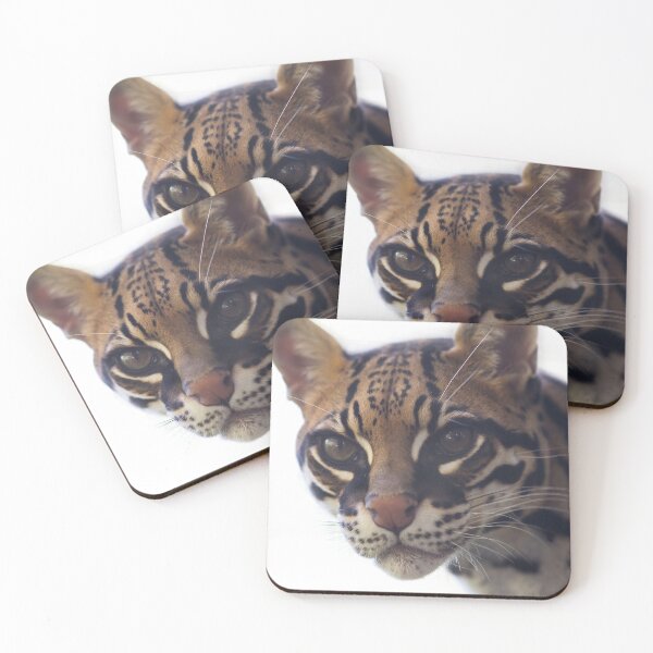 Item preview, Ocelot designed and sold by AmberLeung.