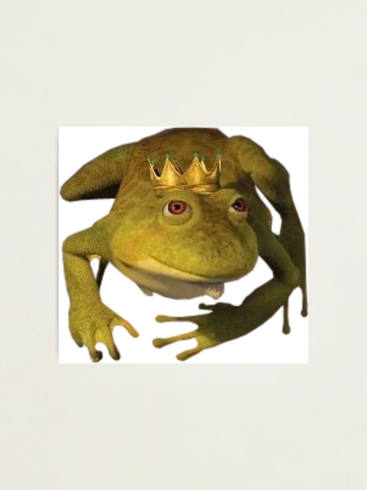 shrek froggie  Frog wallpaper, Frog pictures, Frog meme