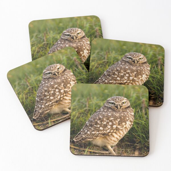 Item preview, Burrowing Owl Cutie designed and sold by PsychoAlien.com.