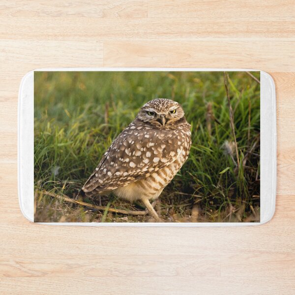 Item preview, Burrowing Owl Cutie designed and sold by PsychoAlien.com.