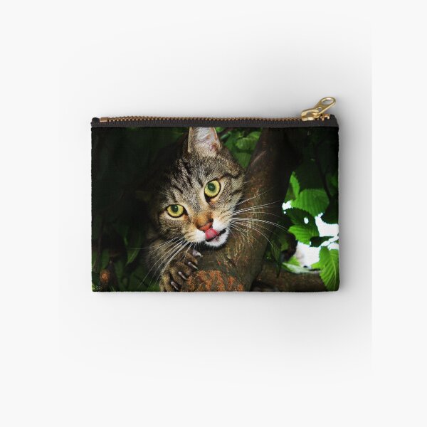 Item preview, Cat licking nose hunting prey extending claws sitting on tree domestic shorthair predator designed and sold by reddeercom.