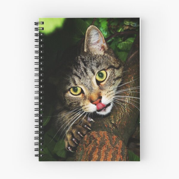 Item preview, Cat licking nose hunting prey extending claws sitting on tree domestic shorthair predator designed and sold by reddeercom.