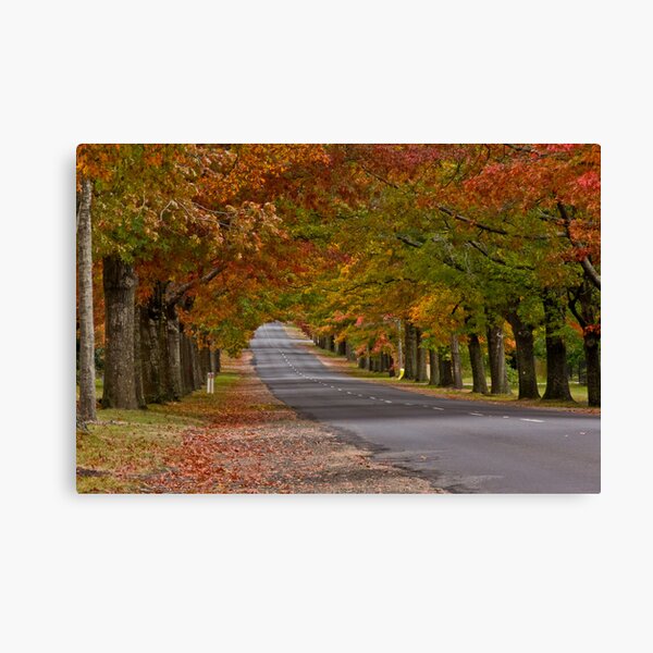 Item preview, Autumn Road designed and sold by Russell Charters.