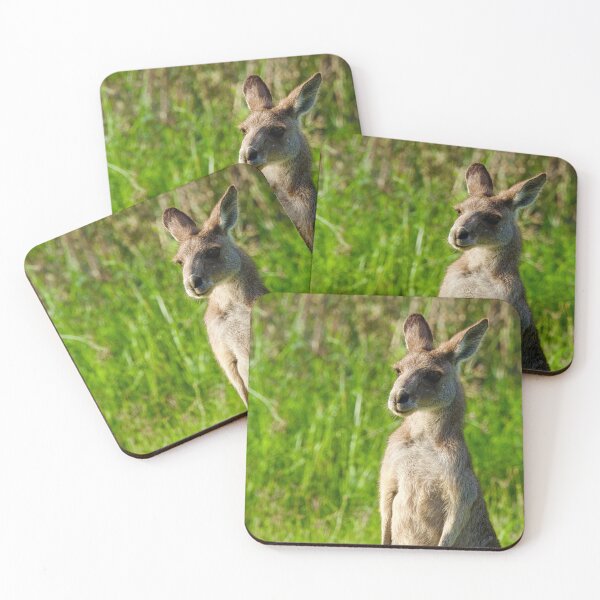 Item preview, Young Eastern Grey Kangaroo designed and sold by BackyardZoology.