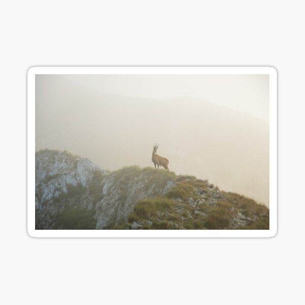 Chamois Sticker