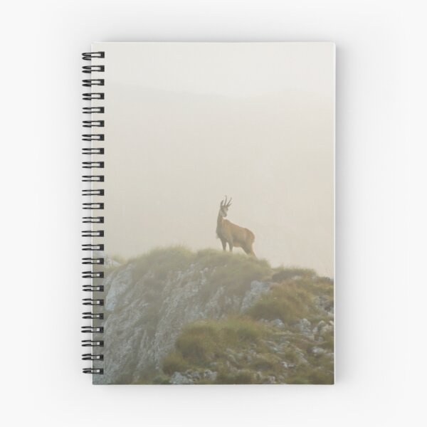 Item preview, Chamois designed and sold by Marcel Ilie.