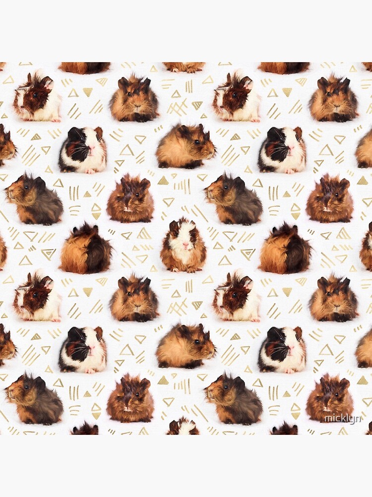 The Essential Guinea Pig by micklyn
