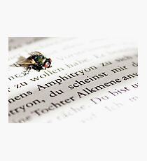 Lámina fotográfica Literate Fly