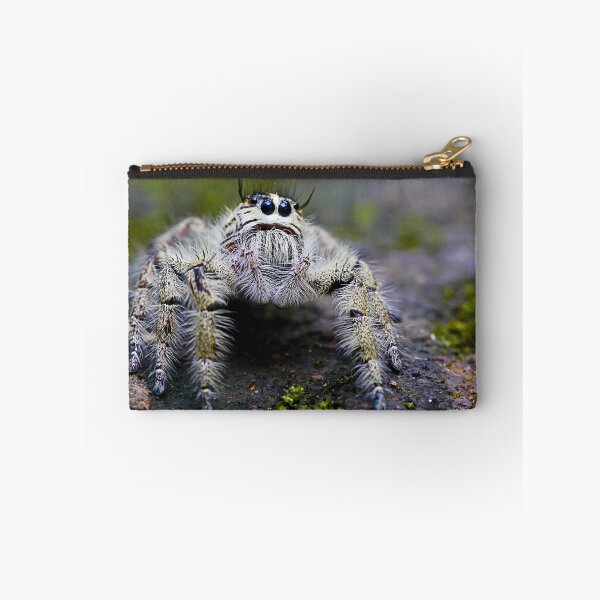 Item preview, Hairy Jumping Spider designed and sold by Normf.