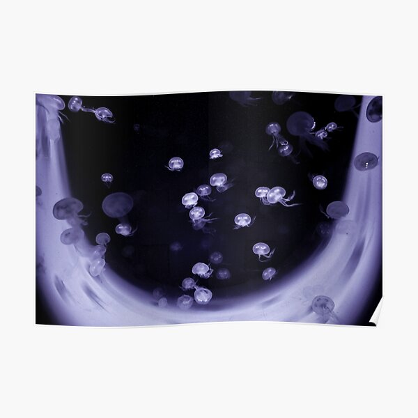 jellydreams Poster