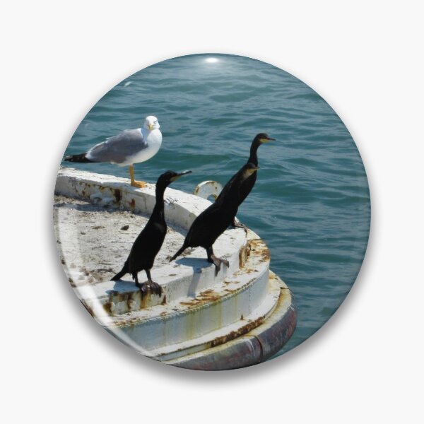 Artikelvorschau, Europäische Shags mit Möwenfreund entworfen und verkauft von tomeoftrovius.