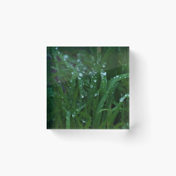 Item preview, Dew on Grass designed and sold by tomeoftrovius.