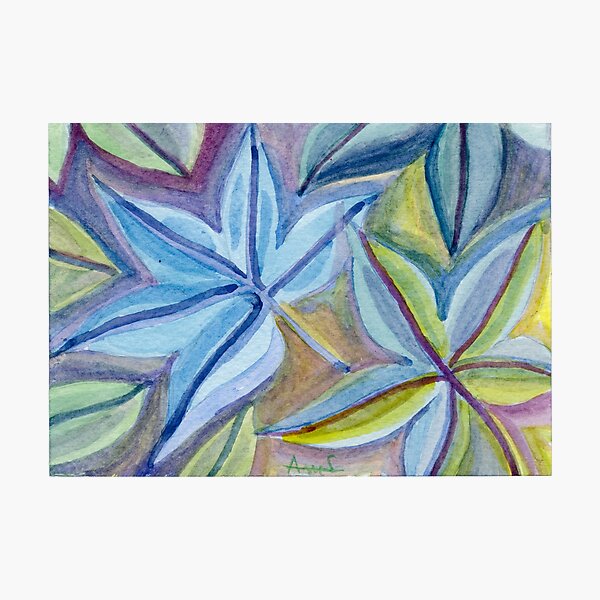 Leaf-shaped forms Photographic Print