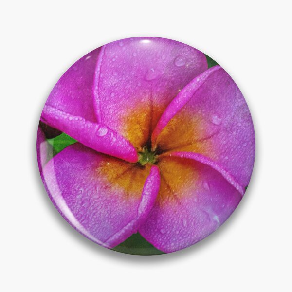 Item preview, Raindrops on Frangipani designed and sold by Keith's Photo Artistry.