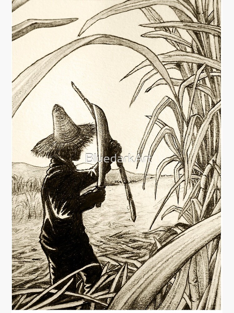 Sugar Cane Farmer: Over 488 Royalty-Free Licensable Stock Illustrations &  Drawings | Shutterstock
