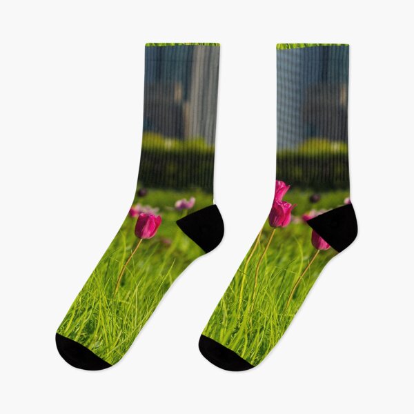 Item preview, Windy City Tulips designed and sold by mljdwhite.