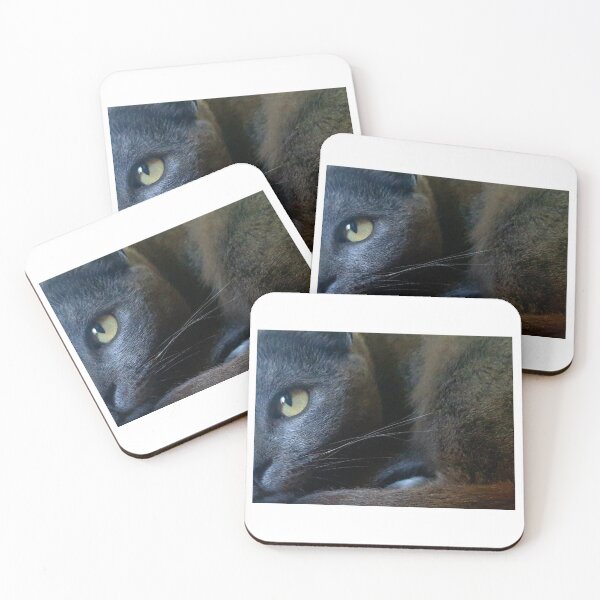 Item preview, Like a panther designed and sold by salouphotos.