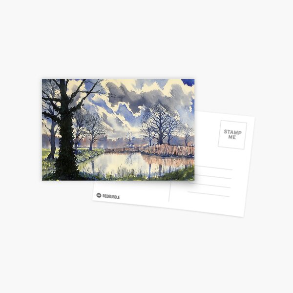 Wetlands in Early Spring Postcard