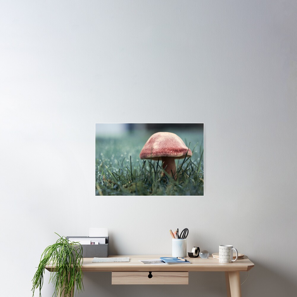 Item preview, Poster designed and sold by petegrev.